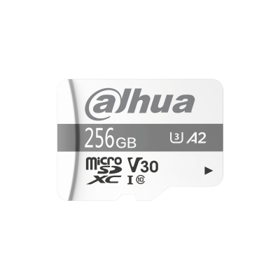 Dahua DHI-TF-P100/256G